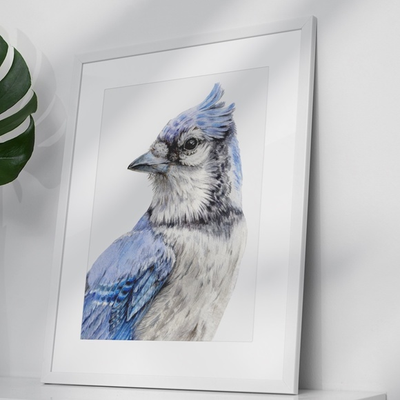 Blue Jay Bird Portrait Wall Art Watercolor Print Poster Unframed - Picture 3 of 9